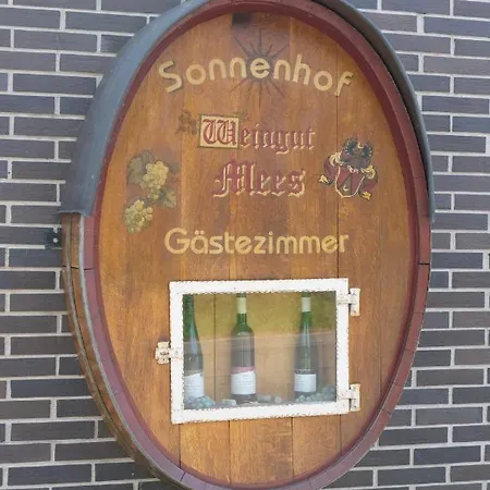 Weingut & Gaestehaus Mees Briedel