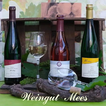 Weingut & Gaestehaus Mees *