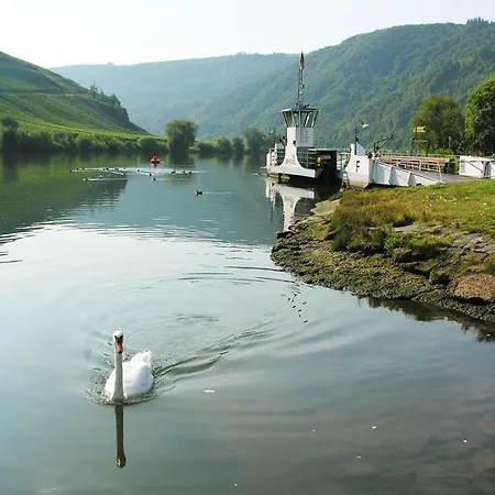 Weingut & Gaestehaus Mees