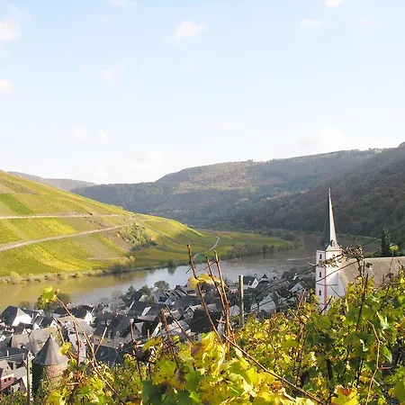Weingut & Gaestehaus Mees