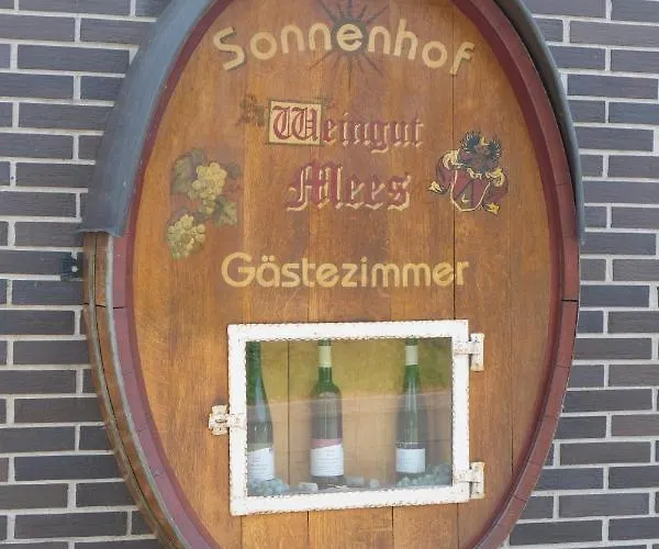 Weingut & Gaestehaus Mees Briedel