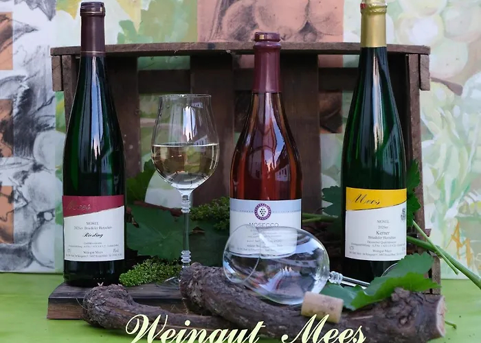 Weingut & Gaestehaus Mees *