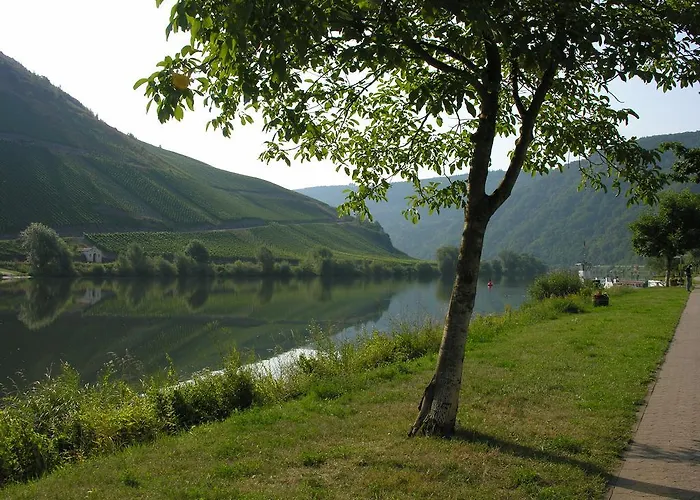 Weingut & Gaestehaus Mees