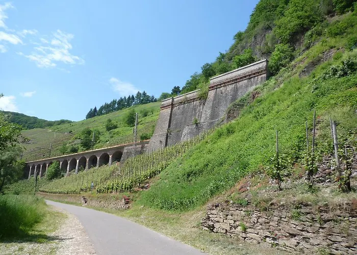 홈스테이 Weingut & Gaestehaus Mees