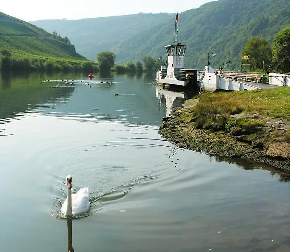Weingut & Gaestehaus Mees