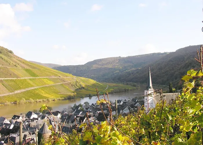 Weingut & Gaestehaus Mees