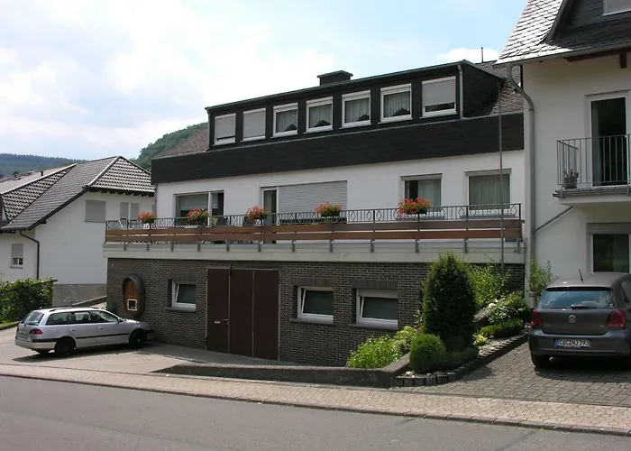 Weingut & Gaestehaus Mees * Briedel