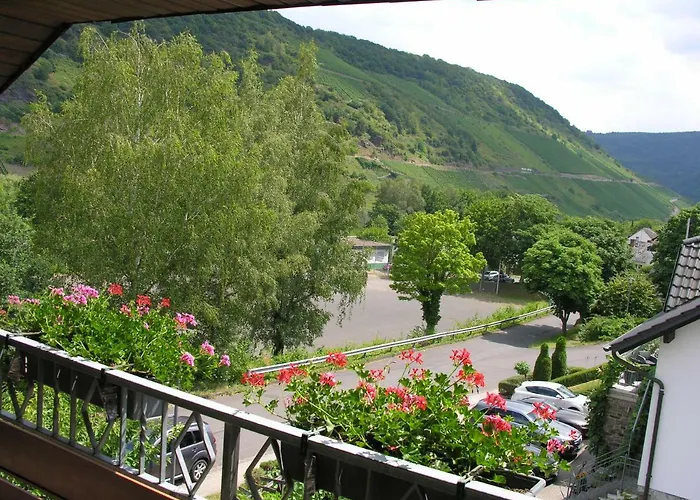 Weingut & Gaestehaus Mees